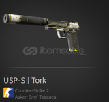 USP-S | Torque (Field-Tested)