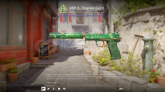 USP-S | Tropikal Esinti (FT)