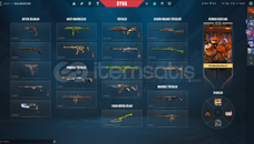 UYGUN FİYATLI MAİNLİK GÜVENİLİR HESAP