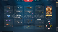 UYGUN FİYATLI MAİNLİK VALORANT HESAP (%50)