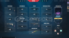 Uygun Fiyatlı Satılık Valorant Hesabı