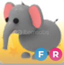 (UYGUN) FR ELEPHANT