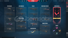 TR SERVER MAİLLİ SKİNLİ HESAP