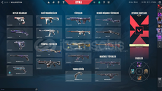 ACIL SATILIKTIR SIKINTSIZ HESAP Ixxx