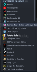 UYGUNUNDAN STEAM HESABI ÇÖK