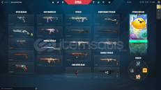 Mainlik Hesap Alın Keyfinize Bakın :3