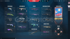 uzaylı avcısı bıç mainlik hesap