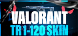 Valorant 1-120 Skin Random Hesap