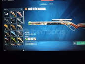 Valorant 102 sv mainlemelik hesap