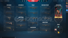 Valorant 114 SV hesap Rankd 