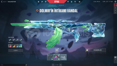 valorant 2 vandallı dia hesap