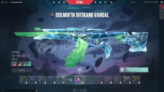 valorant 2 vandallı dia hesap