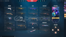 Valorant 200 skinli hesap 