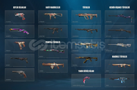 VALORANT 2023 VANDAL + 2025 KARAMBİTLİ HESAP