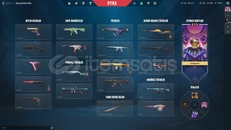 VALORANT 3 VANDALLI 2 BICAKLI HESAP