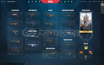 Valorant 300 Seviye Bol Skinli Hesap