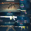 VALORANT 4 YILLIK MAİN HESABIM İÇİ ÇOK DOLU