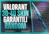 VALORANT 40 Skin Random Hesap