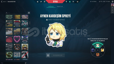  Valorant 425 Level Premium Hesap 