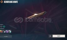 Valorant 46 Level Efsane Hesap