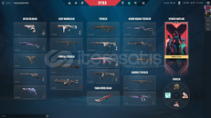 Valorant 5. Yıl bıçakli hesap