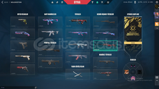 VALORANT 5 YILLIK HESAP