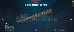 Valorant acil satılık 24 seviye gümüş bir