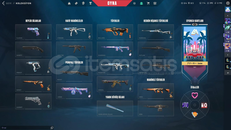 VALORANT ARCANE VANDAL VE DENGE YELPAZE HESAP