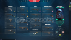 Valorant Asil Karambitli Hesap