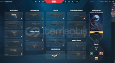 Valorant Asil Kelebekli hesap