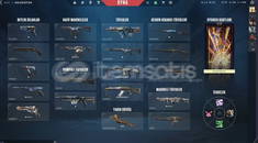 Valorant asil yitik vandal afet yağmacı phantom