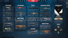 (F/P) BETA HESABI CHAMPİONS 2022 + LOL HESABI
