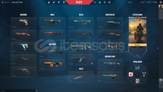 VALORANT BOL SKİNLİ HESAP!