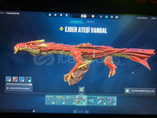 Valorant Bol Skinli Hesap