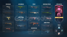 VALORANT BOL SKİNLİ HESAP YÜKSEK MMR +35 40 