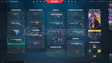 valorant champ25 ve ora 5000TL YATIRILMIŞ