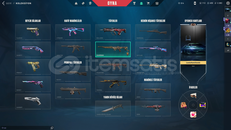 valorant champions 2023 lü vandal dopdolu hesap