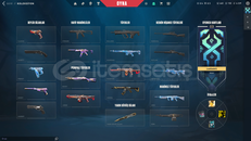 VALORANT CHAMPIONS 25 SETLİ HESAP