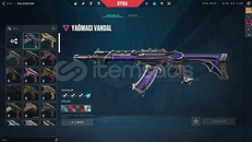 valorant çok skinli hesap