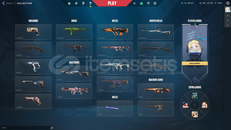 VALORANT - DIA 3 - SKINLI HESAP