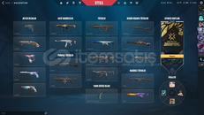 Valorant dolu dolu hesap!