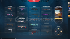 valorant dolu skin +8000vp içinde bakiye var