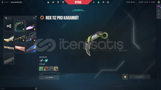 Valorant dop dolu hesap