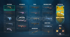 VALORANT DOPDOLU DİA HESAP