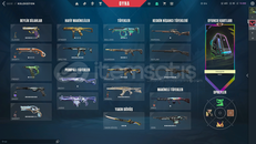 valorant dopdolu hesap