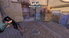 VALORANT EDİT CC | AFTER EFFECTS