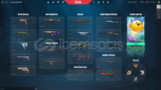 Valorant emek hesabı