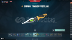 VALORANT EMEK HESAP 181 DOLU MAİNLİK HESAP