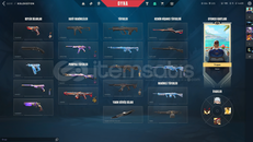 Valorant Emek Hesap İlk Sahibinden