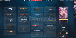 Valorant En uygun hesap